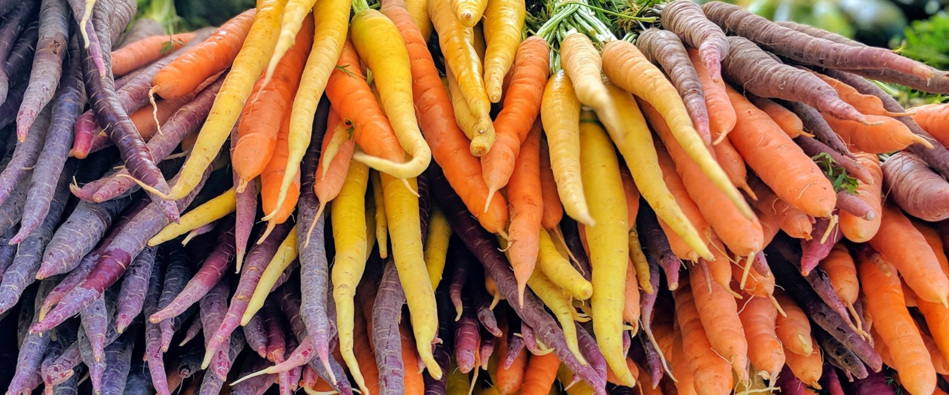 Discovering the Vibrant Farming Culture of King County, Washington
