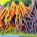 Discovering the Vibrant Farming Culture of King County, Washington
